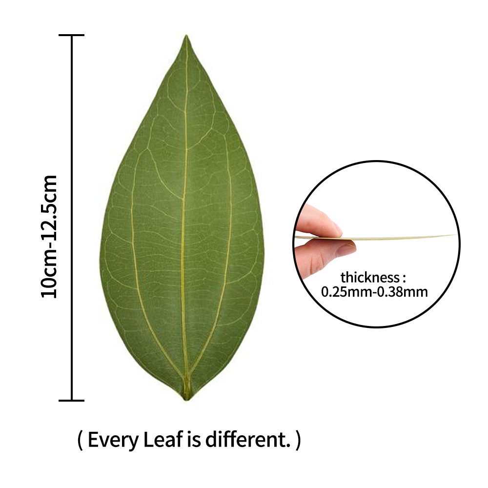 DIY Leaves for Laser Engraving - đánh giá và giá Industrial Laser Engraving Machine